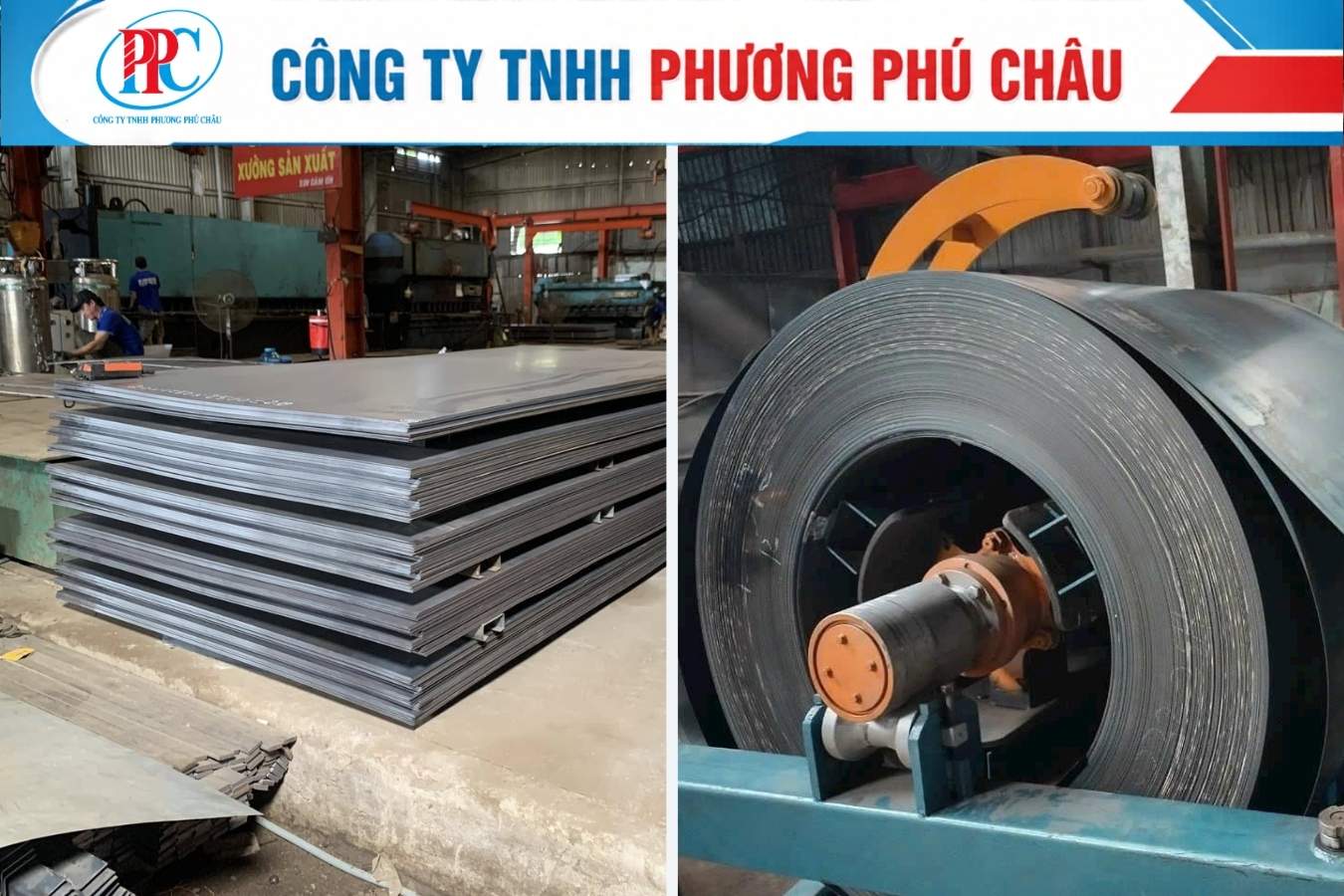 Thép tấm phẳng và cuộn thép cán nóng đặt cạnh nhau trong kho
